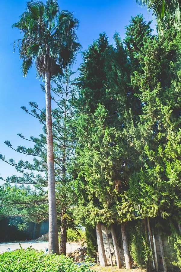Espaciosa Villa En Mijas Costa Para 10 Personas Malaga 0*,
